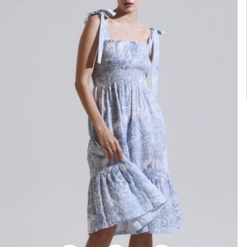 Nothing Fits But Blue Toile Dress